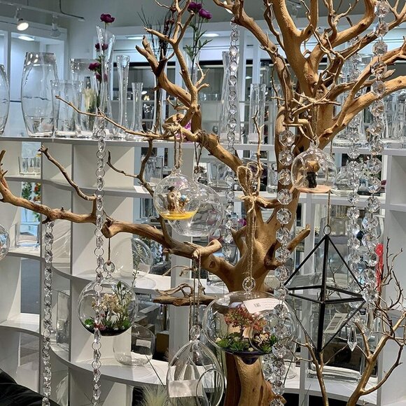 WGV Hanging Terrarium Globe, Width 8", Height 9", DIY Air Succulent Planter, Cle - Picture 2 of 9